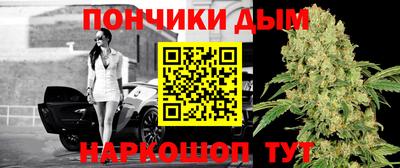 дурь Можга