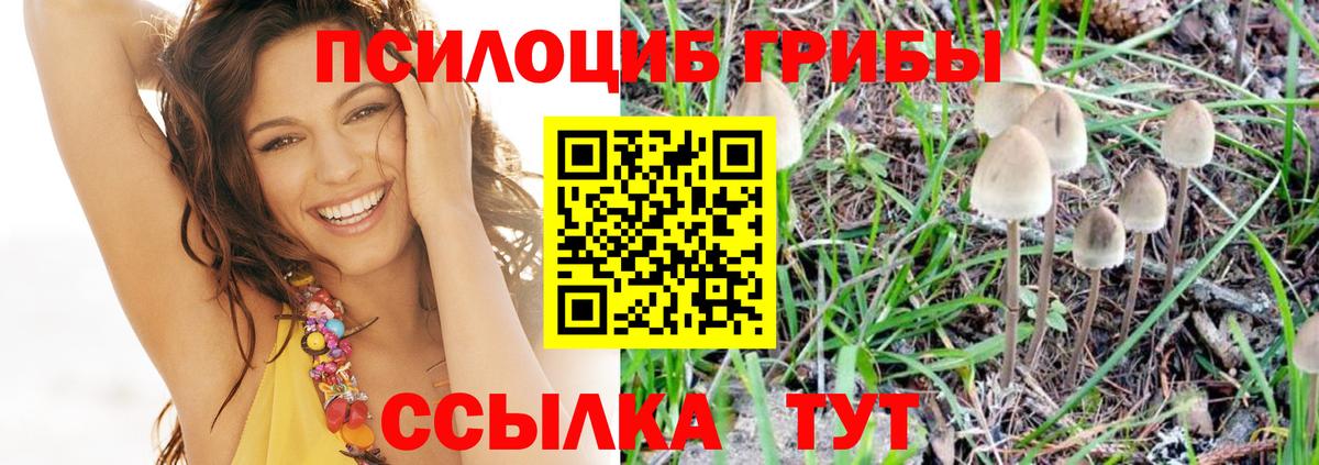 Псилоцибиновые грибы мухоморы Тверь